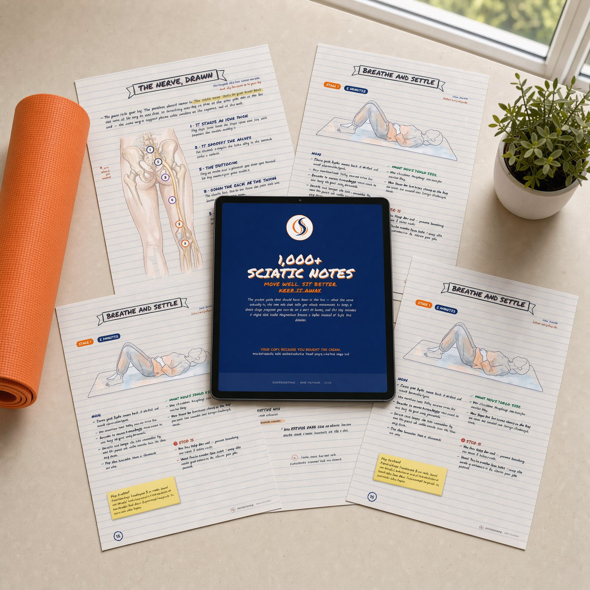 1,000+ Sciatic Notes – The Complete Sciatica Guide [eBook]